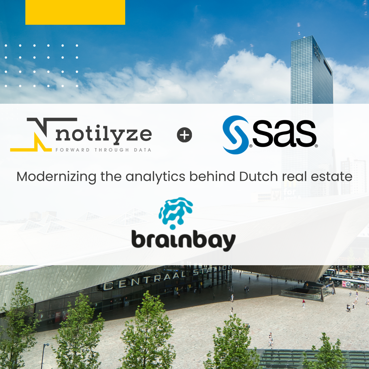 Notilyze SAS Brainbay