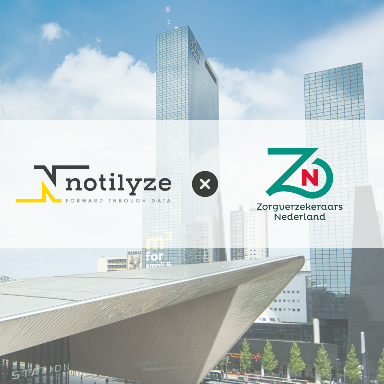 Notilyze x ZN